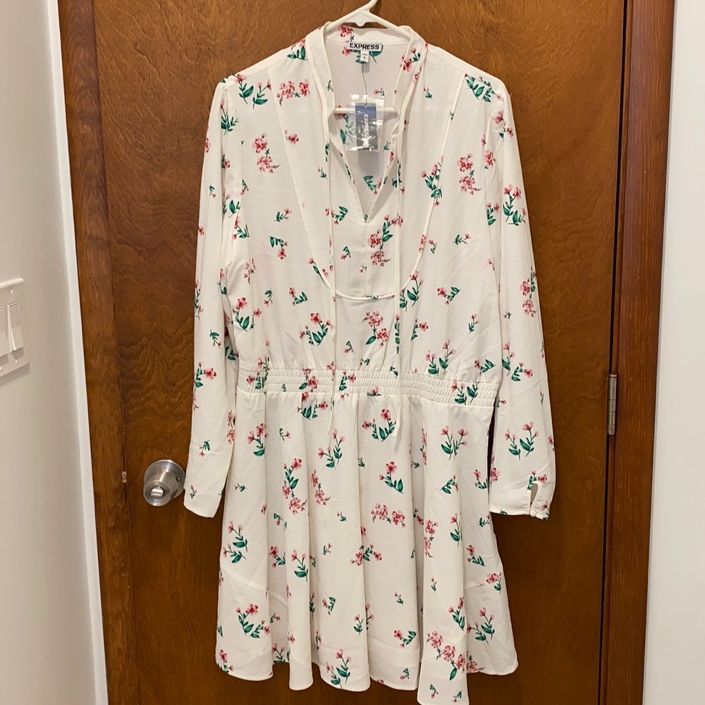 Express skater dress size large NWT
